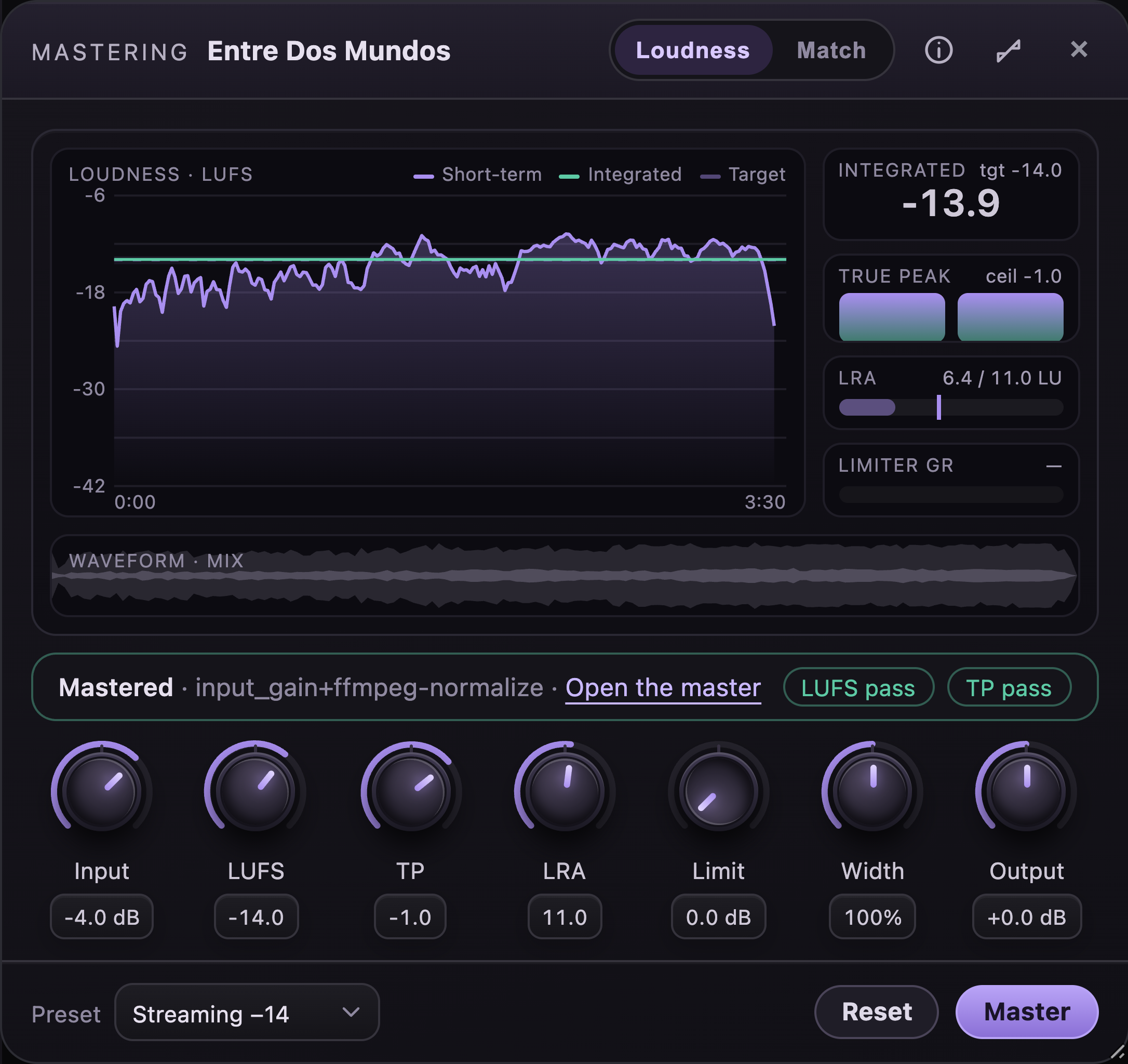The mastering device, detached, after a run: the meters above, the seven knobs, the preset list and the Master button
